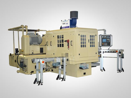 Automatic Double Disc Grinding Machine